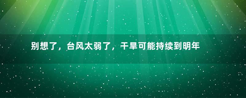 别想了，台风太弱了，干旱可能持续到明年 | 地球知识局